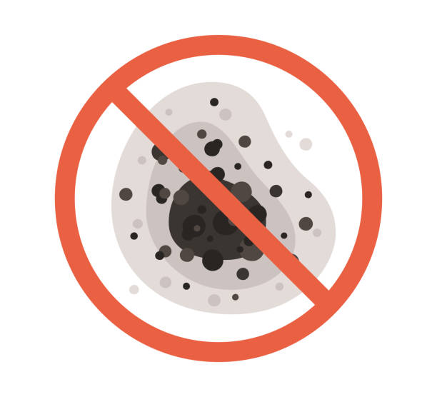 Little River, SC Mold Removal Company