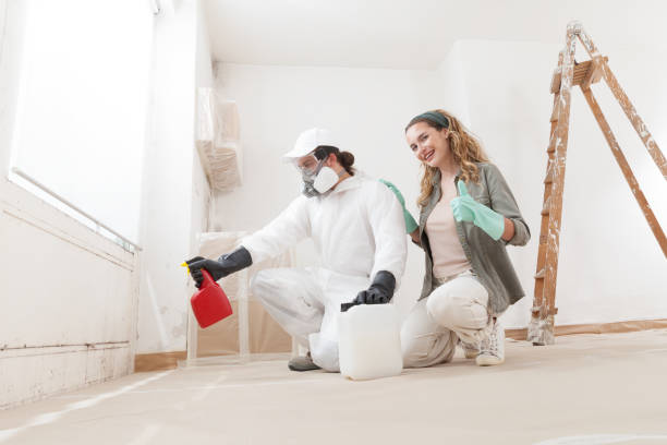 Best Commercial Mold Inspection  in Little River, SC