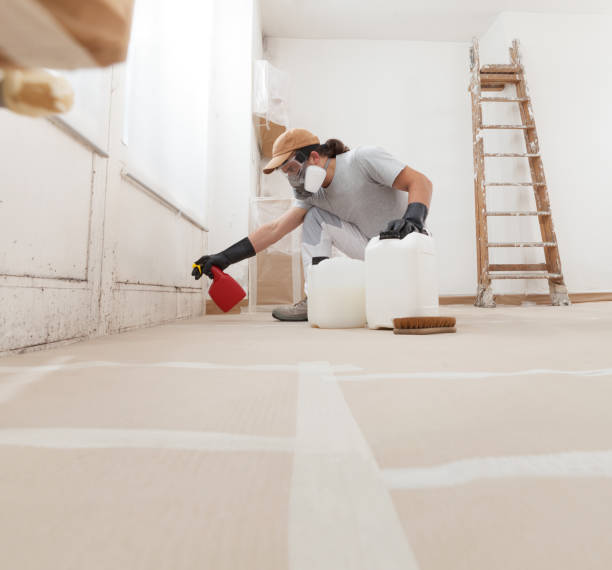 Best Residential Mold Inspection & Testing  in Little River, SC